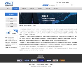 諾測檢測 專業(yè)網(wǎng)站建設與網(wǎng)絡技術服務，打造企業(yè)數(shù)字化門戶